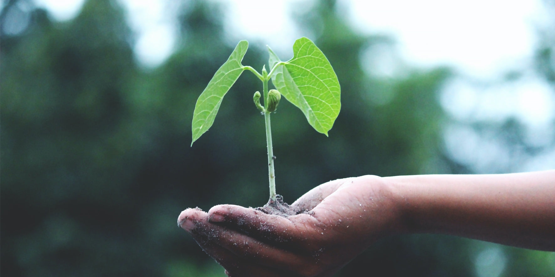 For the Garden-Love Lumi Ltd