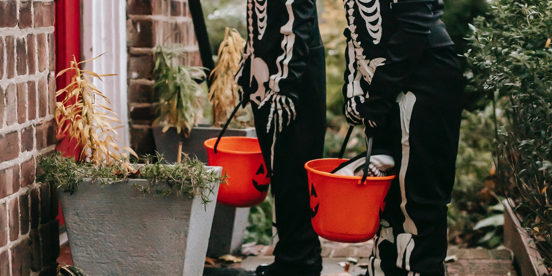 Trick or Treat-Love Lumi Ltd