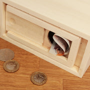 Date Night Engraved Wooden Money Savings Box Piggy Bank