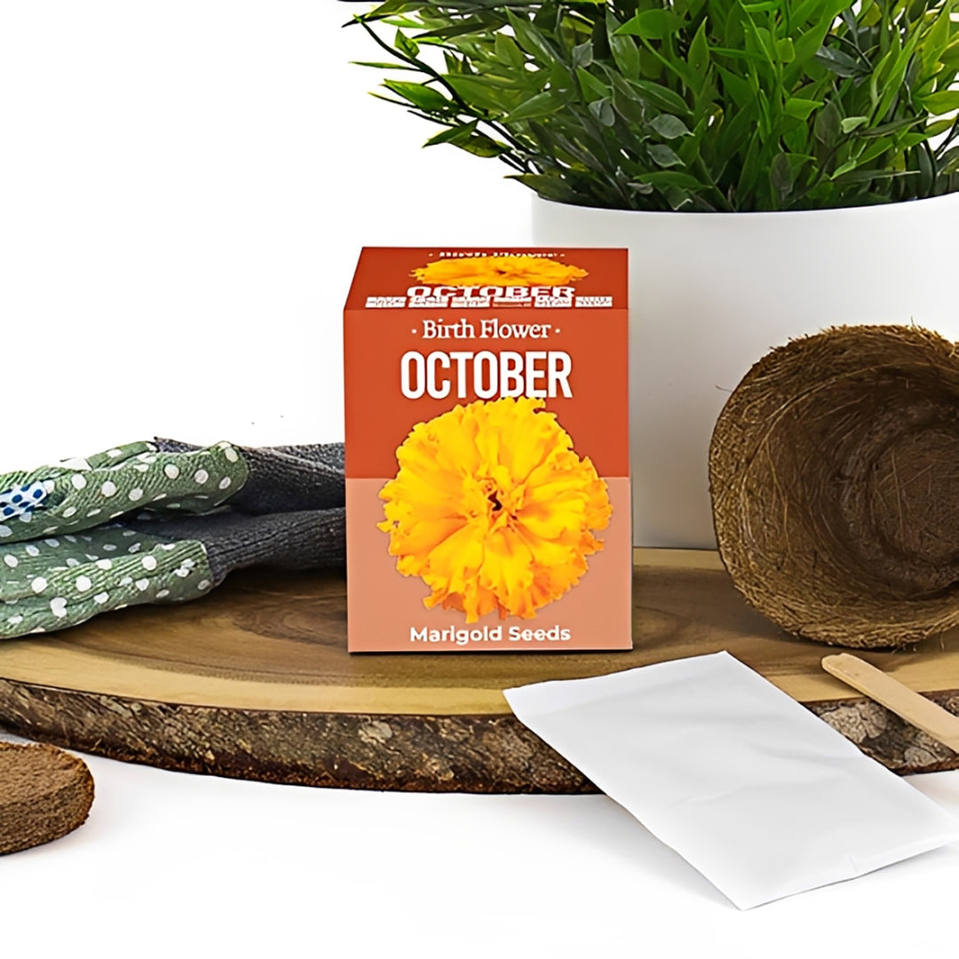 Birth Flower Seeds And Glass Mug Birthday Gift Set
