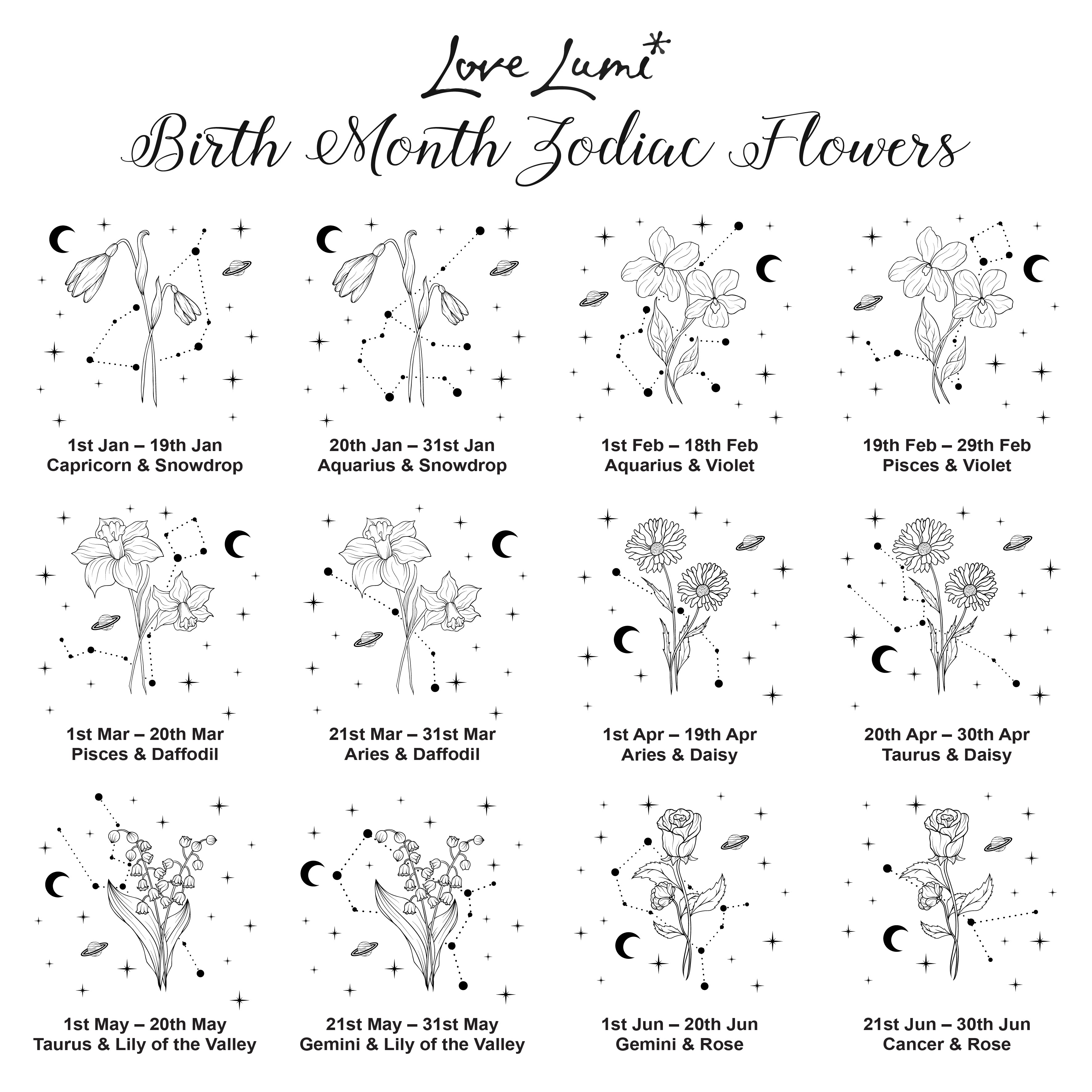 Personalised Birth Month Zodiac Flower Travel Jewellery Storage Box-Love Lumi Ltd