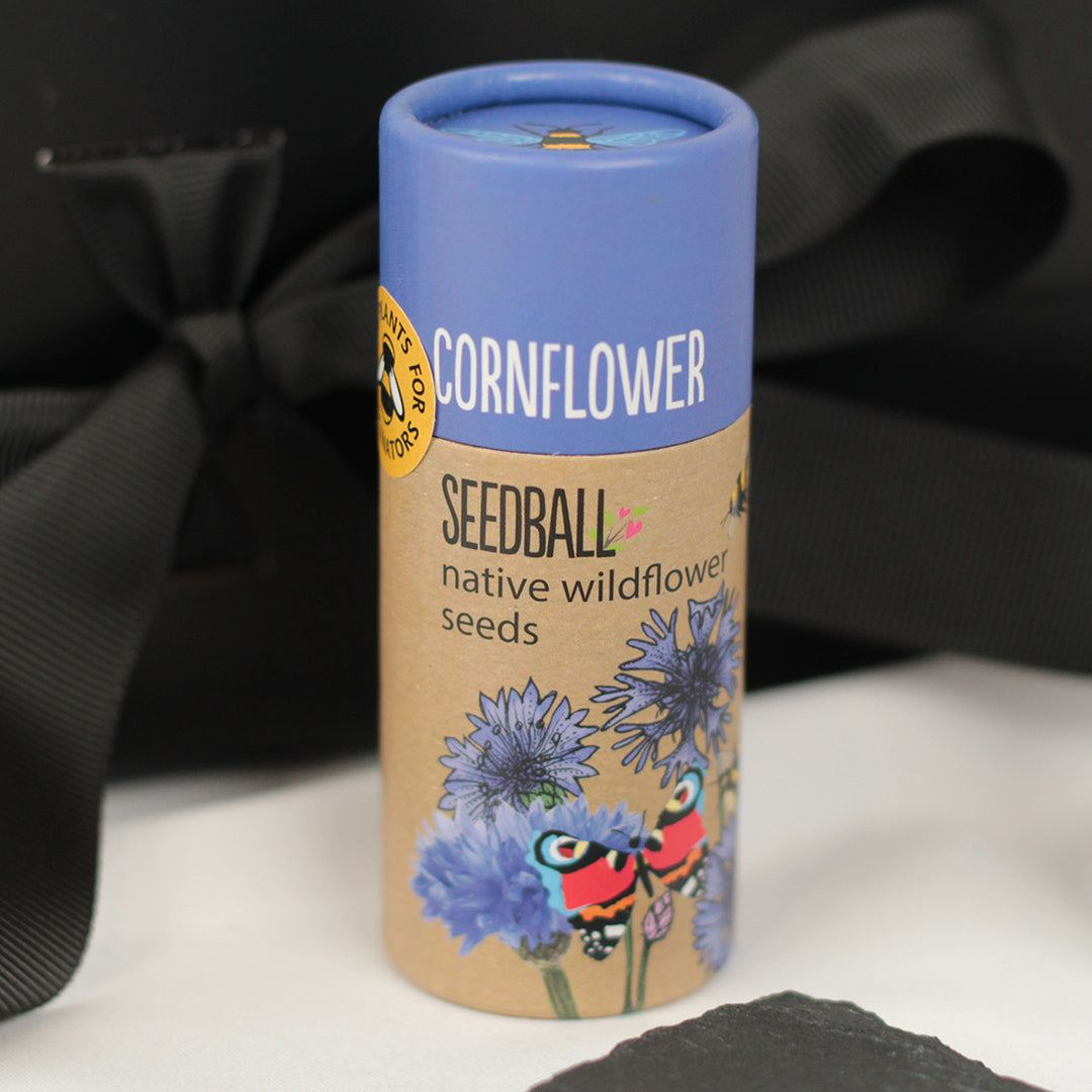 Stemless Glass and Cornflower Wildflower Seed Balls Gift Set