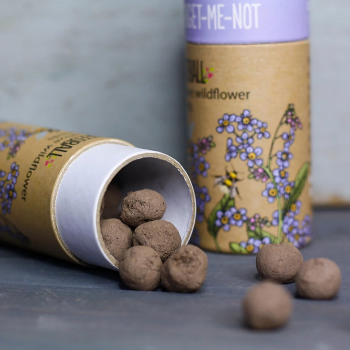 Stemless Glass and Cornflower Wildflower Seed Balls Gift Set