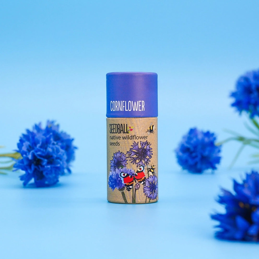 Stemless Glass and Cornflower Wildflower Seed Balls Gift Set
