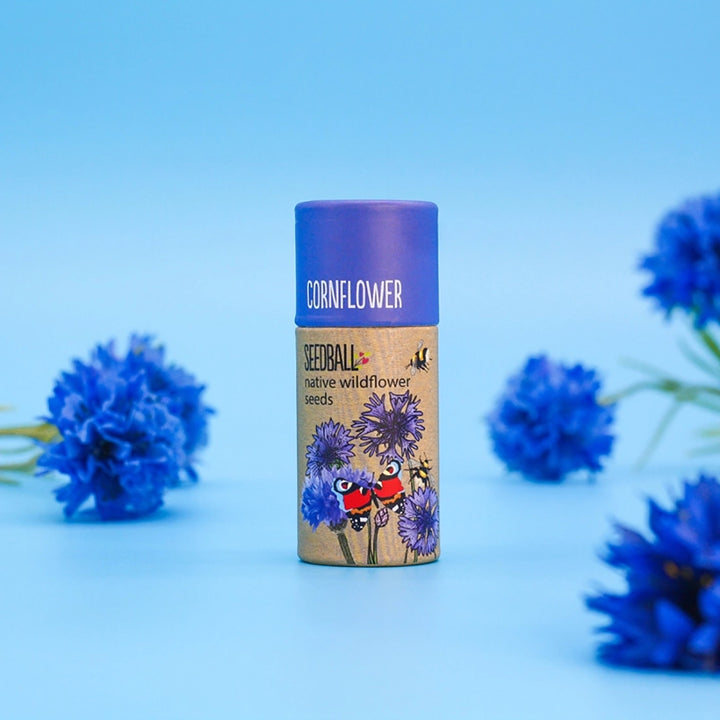 Stemless Glass and Cornflower Wildflower Seed Balls Gift Set