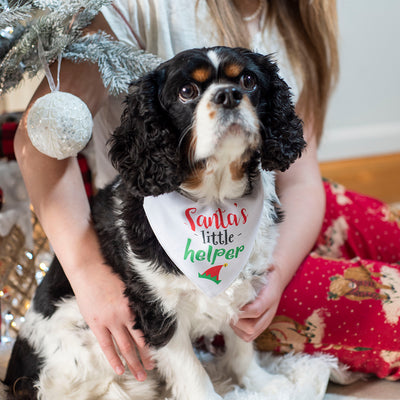 Santa's Little Helper Christmas Pet Dog Bandana and Neck Strap Collar