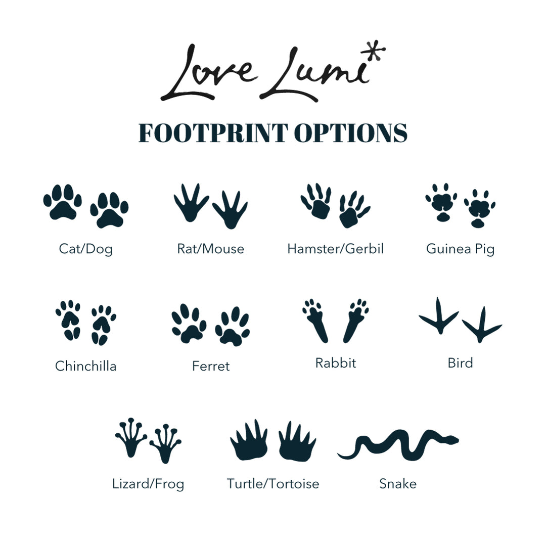 White Wooden Mirror Paw Prints and Photo Pet Ashes Casket