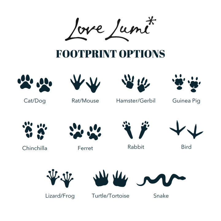 White Wooden Mirror Paw Prints and Photo Pet Ashes Casket