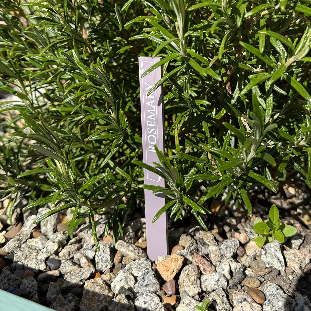 Custom Acrylic Plant Flower Herb Vegetable Garden Markers