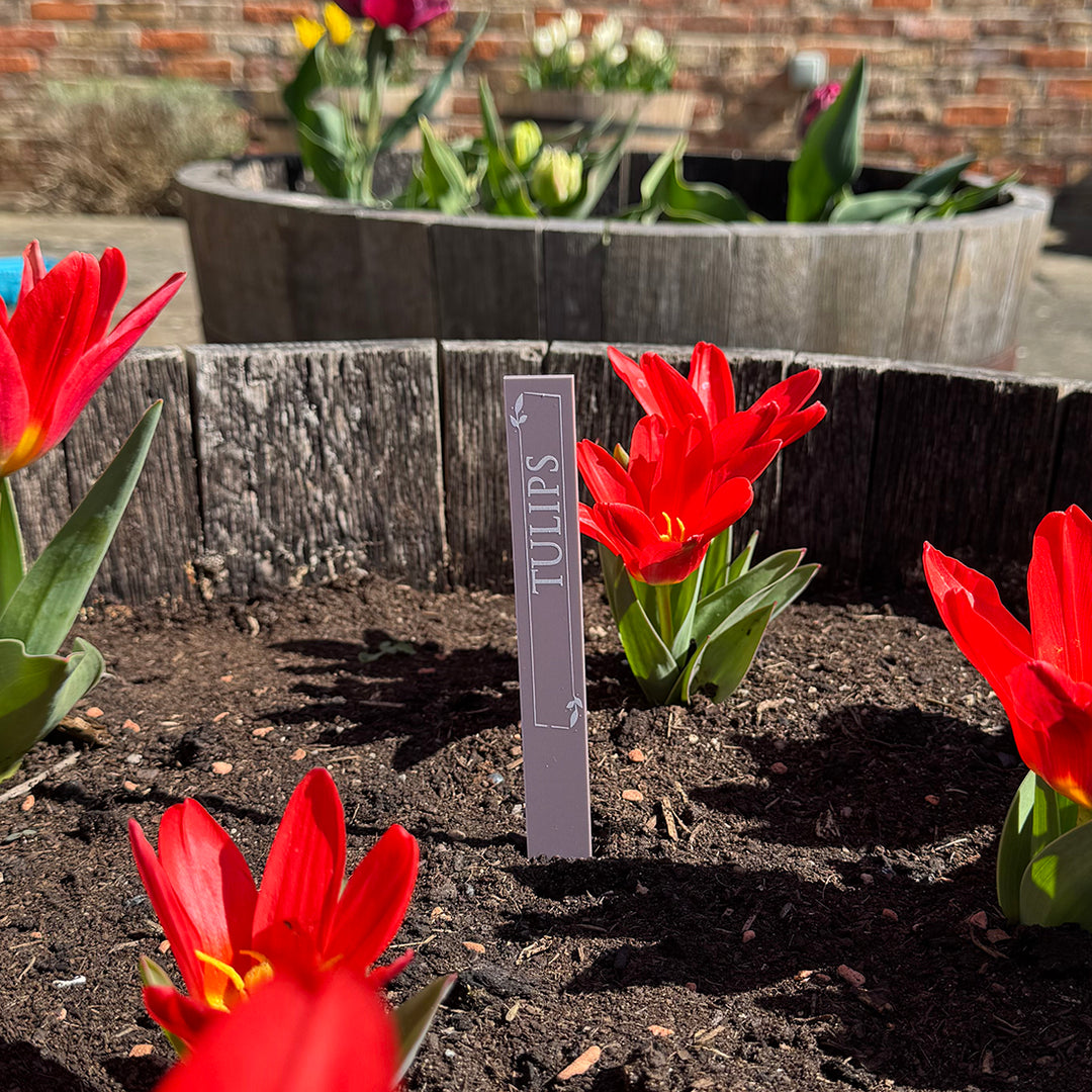 Custom Acrylic Plant Flower Herb Vegetable Garden Markers
