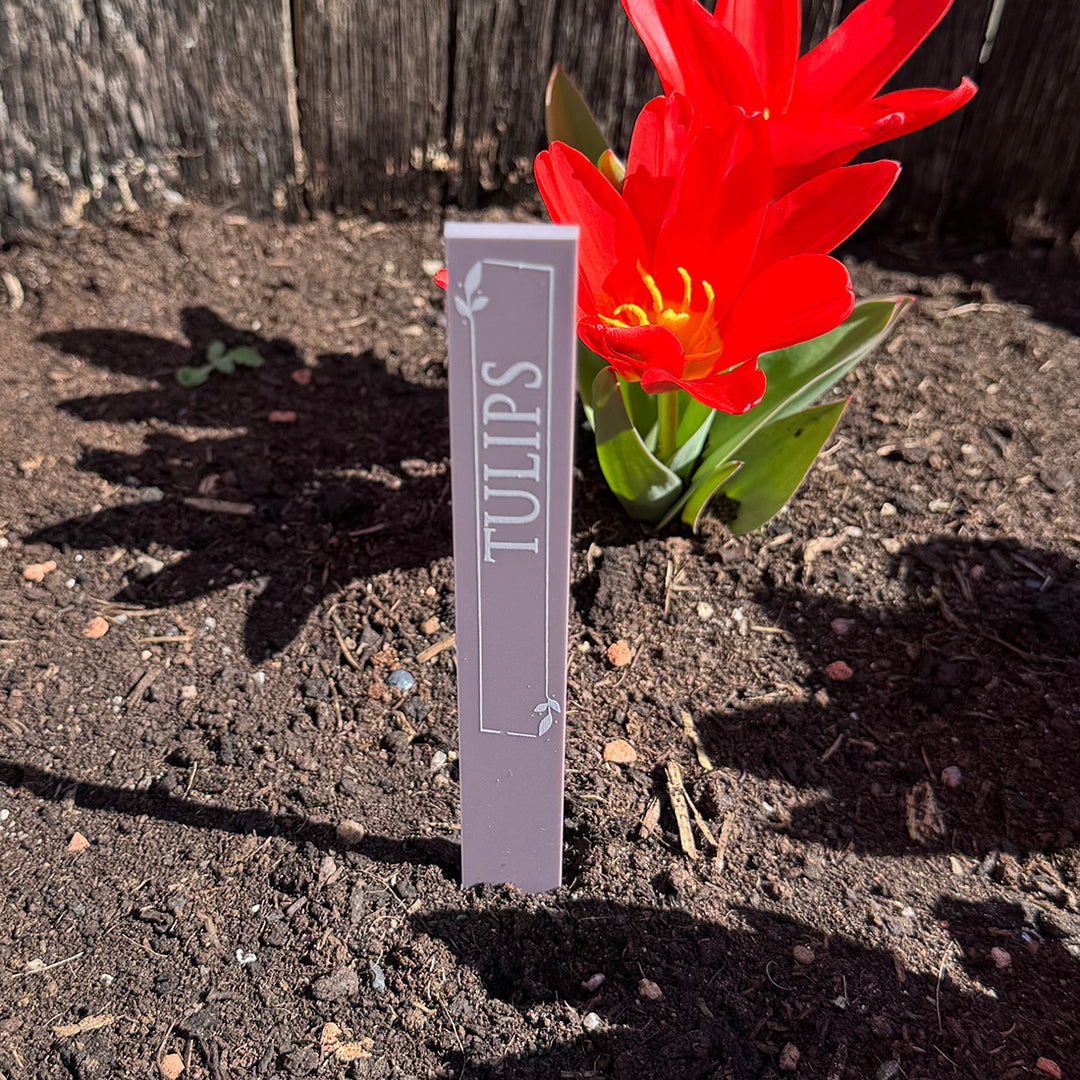 Custom Acrylic Plant Flower Herb Vegetable Garden Markers