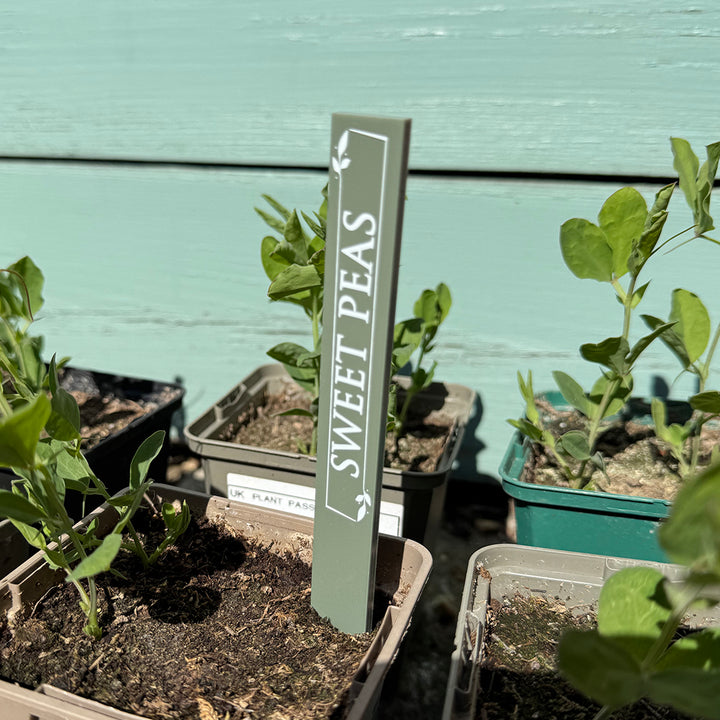 Custom Acrylic Plant Flower Herb Vegetable Garden Markers
