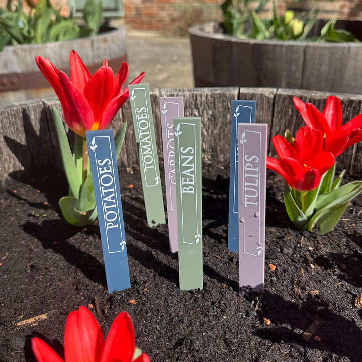 Custom Acrylic Plant Flower Herb Vegetable Garden Markers