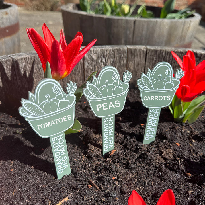 Custom Acrylic Vegetable Basket Garden Greenhouse Plant Markers