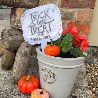 Personalised Halloween Trick or Treat Acrylic Spooky Cobweb Sign-Love Lumi Ltd