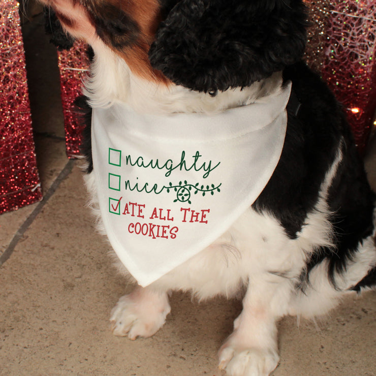 Personalised Naughty or Nice List Christmas Pet Dog Bandana and Neck Strap Collar-Love Lumi Ltd