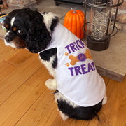 Trick for Treat Halloween Dog Tank Top T-Shirt-Love Lumi Ltd